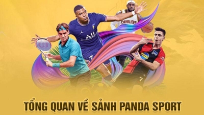 Thể thao Panda Sports với hơn 23.000 trận cược mỗi tháng